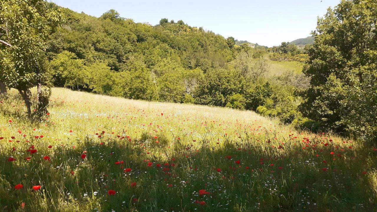 Agriturismo Marcofrate, A Retreat In The Nature Valtopina Екстер'єр фото